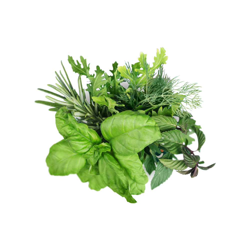 Herbes et Salades الاعشاب و السلطات