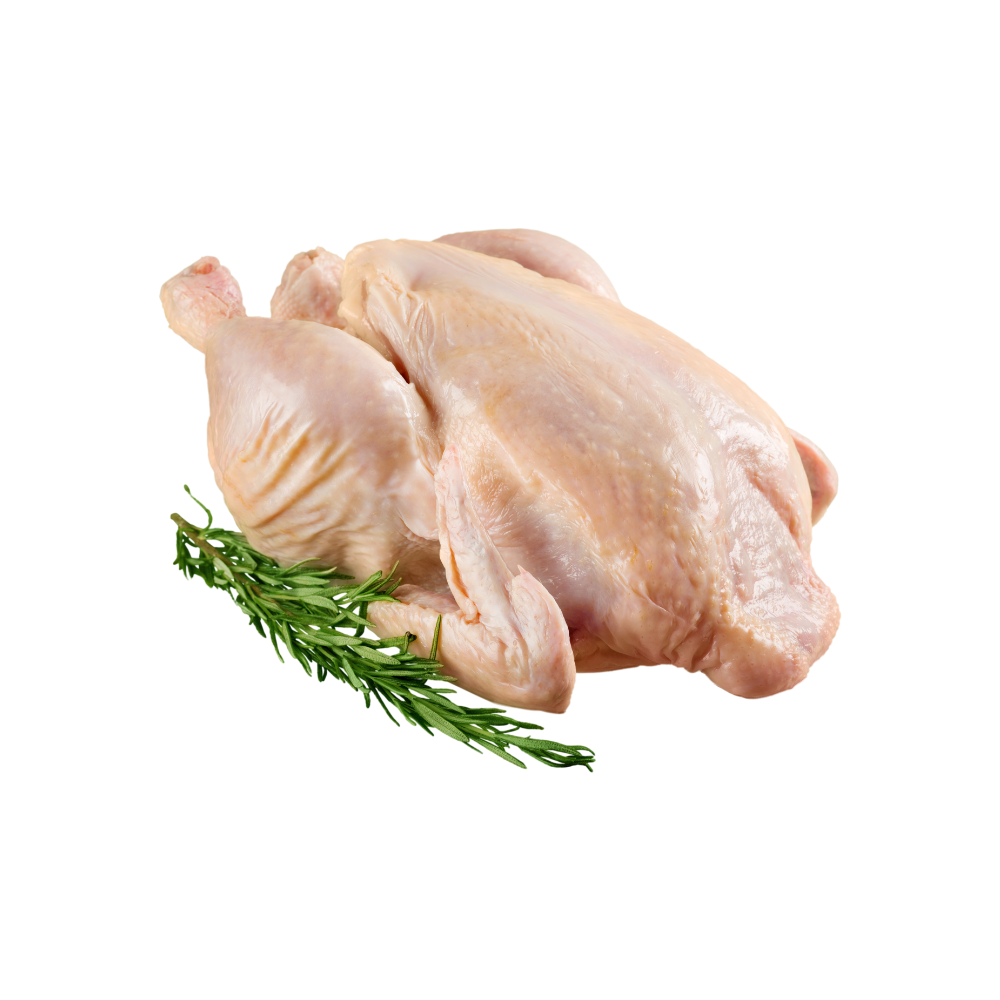 Volailles الـــــدواجـــــن